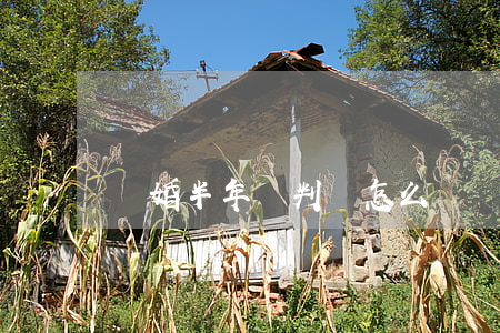 離婚半年沒判決怎么辦