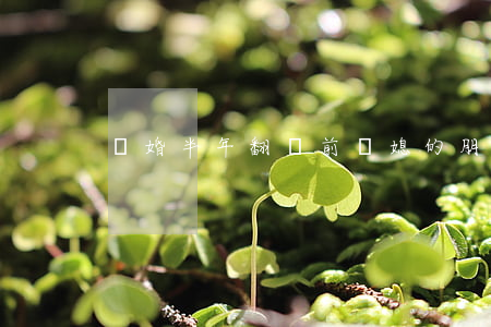 離婚半年翻開前兒媳的朋友圈