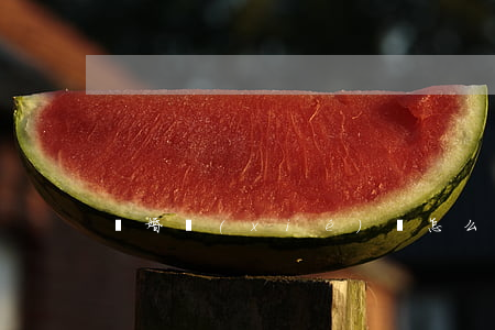 離婚協(xié)義怎么寫