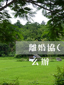 離婚協(xié)調(diào)書掉了怎么辦