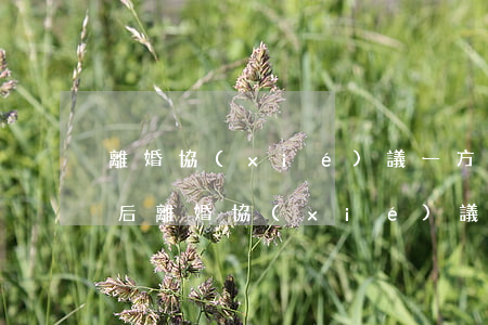 離婚協(xié)議一方不履行怎么辦(離婚后離婚協(xié)議書有一方不履行怎么辦)