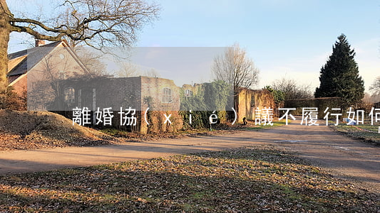 離婚協(xié)議不履行如何起訴