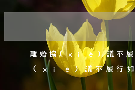 離婚協(xié)議不履行如何起訴，離婚協(xié)議不履行如何起訴對(duì)方