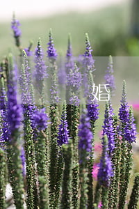 離婚協(xié)議丟了怎么補(bǔ)辦