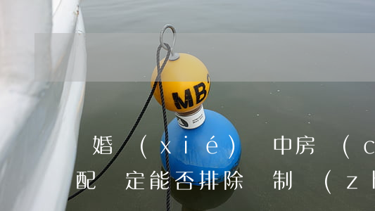離婚協(xié)議中房產(chǎn)分配約定能否排除強制執(zhí)行
