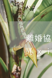 離婚協(xié)議受哪部法律保護(離婚協(xié)議是否受法律保護)