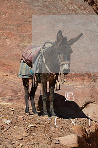 離婚協(xié)議在哪里寫才有效(離婚協(xié)議要在什么地方寫才有效)