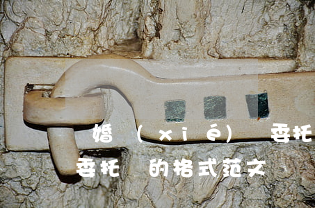 離婚協(xié)議委托書怎么寫(離婚訴訟委托書的格式范文)