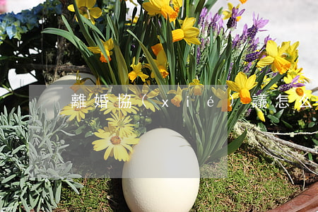 離婚協(xié)議怎么寫才有效