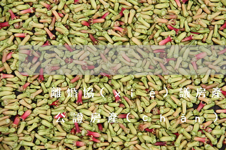 離婚協(xié)議房產(chǎn)需要公證(房產(chǎn)離婚協(xié)議書(shū)寫(xiě)明,還需要公證嗎)