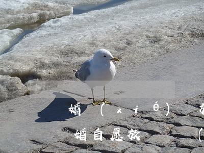 離婚協(xié)議放棄家產(chǎn)(離婚自愿放棄財產(chǎn)承諾書)