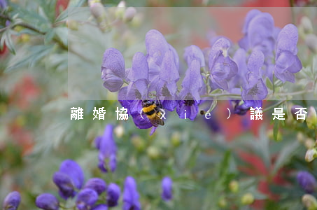 離婚協(xié)議是否需要公證