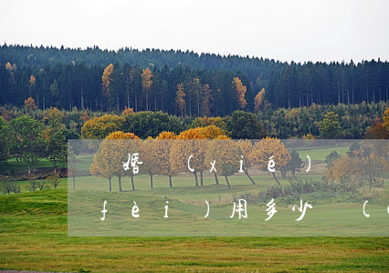 離婚協(xié)議書(shū)公證費(fèi)用多少錢(qián)
