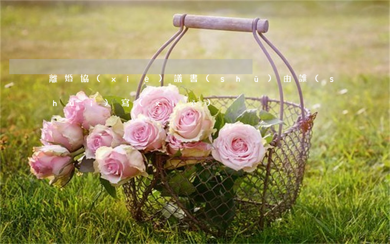 離婚協(xié)議書(shū)由誰(shuí)寫(xiě)