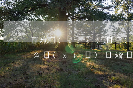 離婚協(xié)議書(shū)的格式怎么寫(xiě)(離婚協(xié)議書(shū)格式模板)