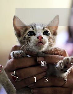 離婚協(xié)議書(shū)范文2013