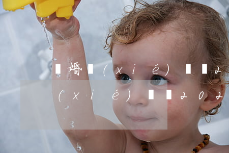 離婚協(xié)議書2021范本(離婚協(xié)議書2021范本簡單)