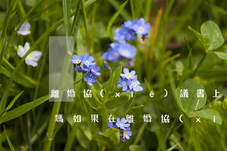 離婚協(xié)議書上寫房子歸女方有效嗎(如果在離婚協(xié)議書上注明房產(chǎn)歸誰(shuí)生效嗎)