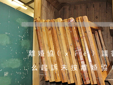 離婚協(xié)議書不執(zhí)行怎么起訴(未按離婚協(xié)議執(zhí)行怎么起訴)