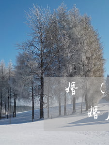 離婚協(xié)議書不履行怎么向法院起訴(離婚后對方不履行協(xié)議怎么起訴)