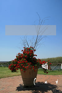 離婚協(xié)議書丟失能補辦么(離婚協(xié)議書丟失了怎么辦能補回來嗎)