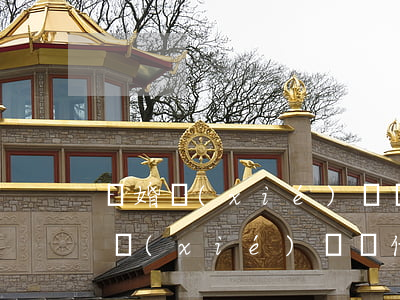 離婚協(xié)議書代寫一份多少錢(離婚協(xié)議書代寫一份多少錢?)