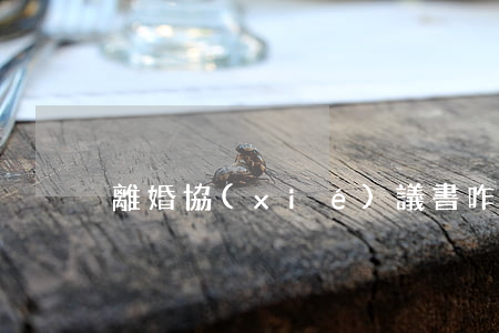 離婚協(xié)議書咋寫