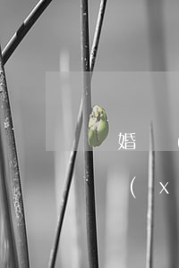 離婚協(xié)議書怎么寫沒有孩子(離婚協(xié)議書怎么寫沒有孩子怎么寫)