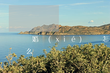 離婚協(xié)議書 怎么寫(離婚起訴書怎么寫)