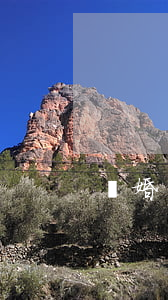 離婚協(xié)議書手寫范本