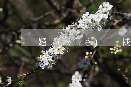 離婚協(xié)議書找誰寫呢