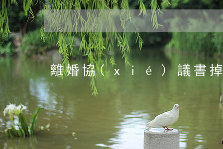 離婚協(xié)議書掉了怎么辦