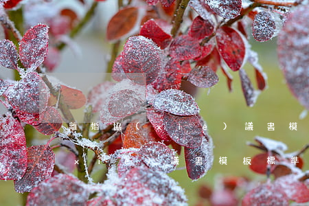離婚協(xié)議書 模板 標準版(離婚協(xié)議書 模板 標準版打印)