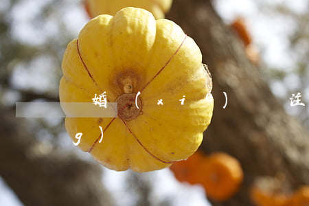 離婚協(xié)議書注意事項(xiàng)