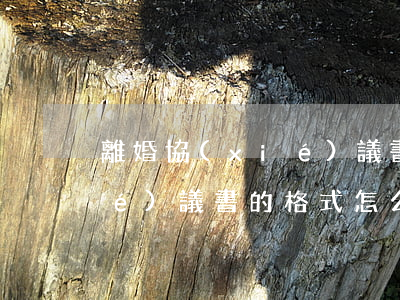 離婚協(xié)議書的格式(離婚協(xié)議書的格式怎么寫具體內容)