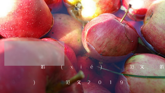 離婚協(xié)議書范文(離婚協(xié)議書范文2019圖)