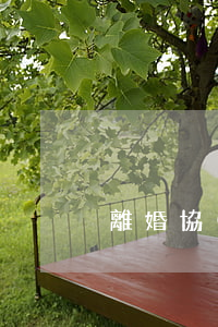 離婚協(xié)議書誰寫重要嗎