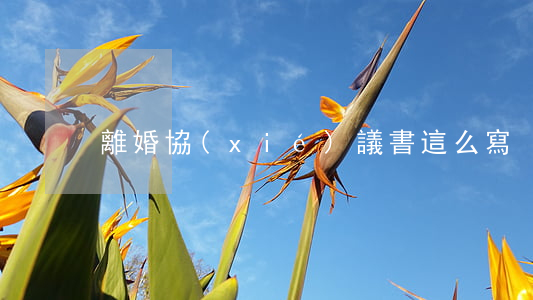 離婚協(xié)議書這么寫
