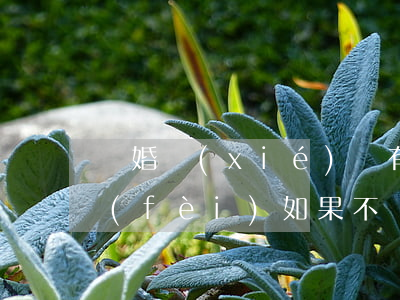 離婚協(xié)議有撫養(yǎng)費(fèi)如果不給違法嗎(離婚協(xié)議不給撫養(yǎng)費(fèi),對方有權(quán)利起訴要嗎)