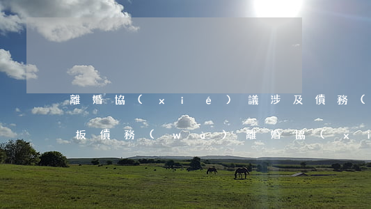離婚協(xié)議涉及債務(wù)的模板(債務(wù)離婚協(xié)議書)