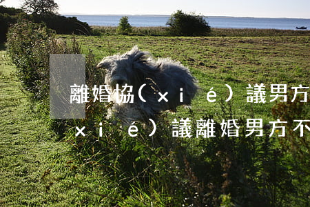 離婚協(xié)議男方不同意怎么辦(協(xié)議離婚男方不履行協(xié)議怎么辦)