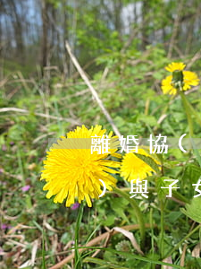 離婚協(xié)議約定房屋贈(zèng)與子女的效力