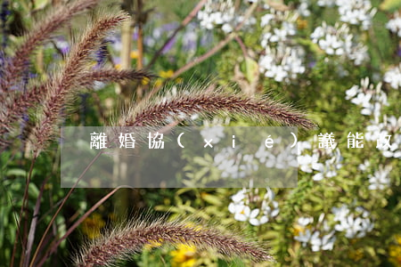 離婚協(xié)議能改嗎