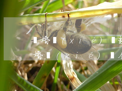 離婚協(xié)議趣書網(wǎng)(離婚協(xié)議全文免費閱讀)