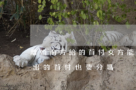 離婚南方給的首付女方能分一半嗎(離婚男方出的首付也要分嗎)