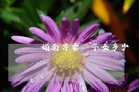 離婚南方要給子女多少撫養(yǎng)費