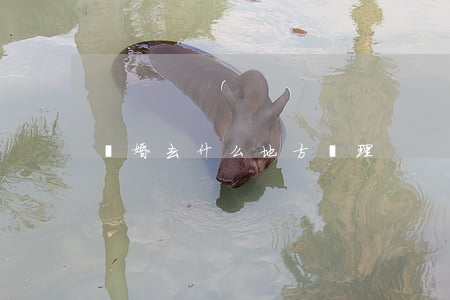 離婚去什么地方辦理