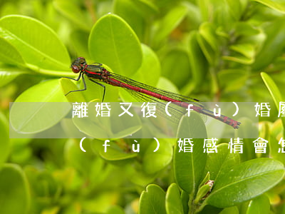 離婚又復(fù)婚屬于婚姻變化(離婚再復(fù)婚感情會怎樣)