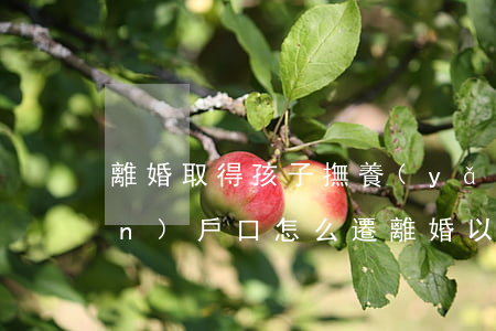 離婚取得孩子撫養(yǎng)權(quán)戶口怎么遷(離婚以后孩子戶口可以遷到非撫養(yǎng)權(quán)方嗎)