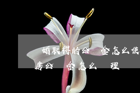 離婚取得的公積金怎么使用(離婚時個人的住房公積金怎么處理?)
